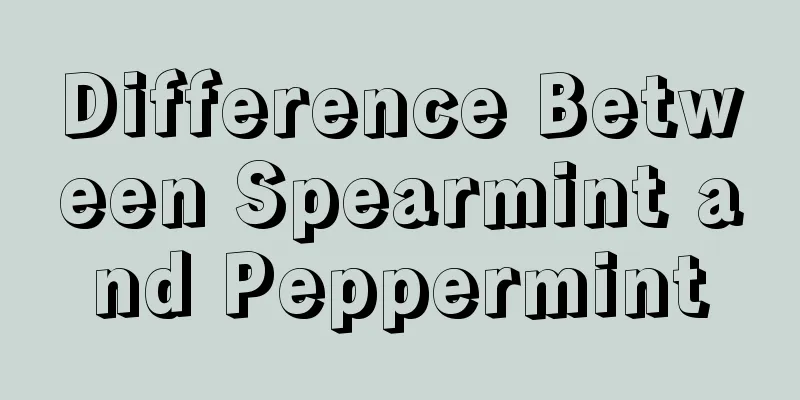 Difference Between Spearmint and Peppermint