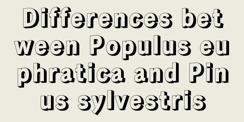 Differences between Populus euphratica and Pinus sylvestris