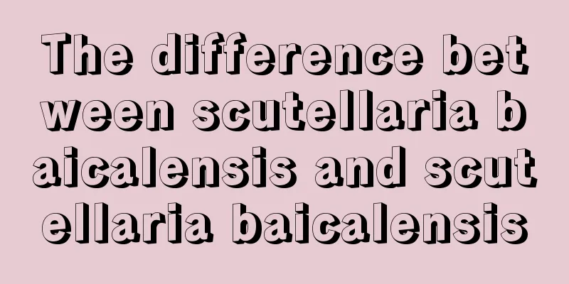 The difference between scutellaria baicalensis and scutellaria baicalensis