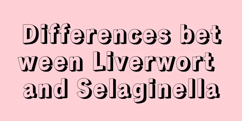 Differences between Liverwort and Selaginella