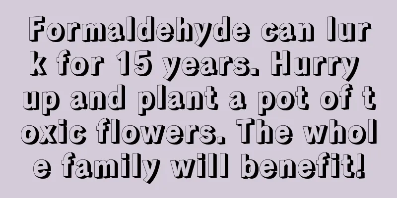 Formaldehyde can lurk for 15 years. Hurry up and plant a pot of toxic flowers. The whole family will benefit!