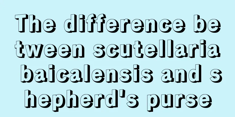 The difference between scutellaria baicalensis and shepherd's purse