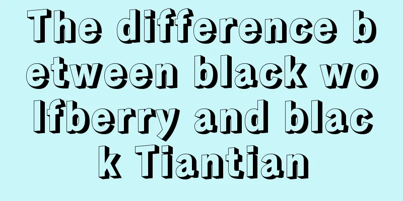 The difference between black wolfberry and black Tiantian