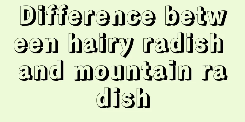 Difference between hairy radish and mountain radish