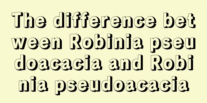 The difference between Robinia pseudoacacia and Robinia pseudoacacia