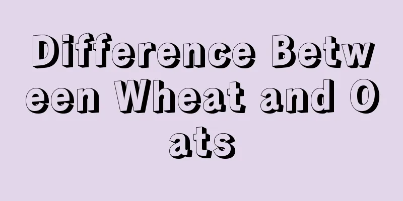 Difference Between Wheat and Oats