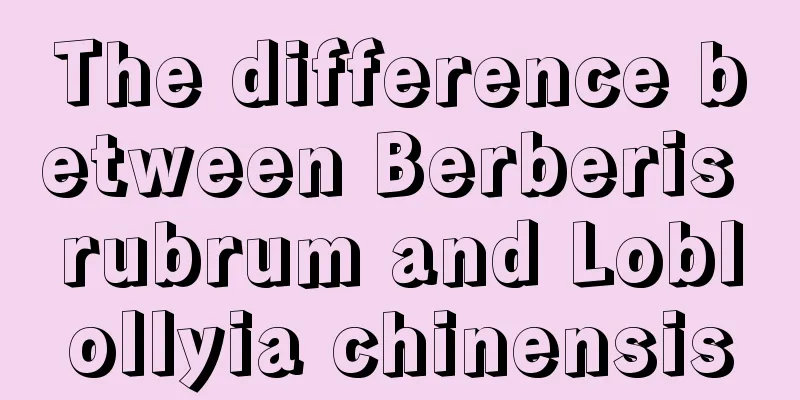 The difference between Berberis rubrum and Loblollyia chinensis