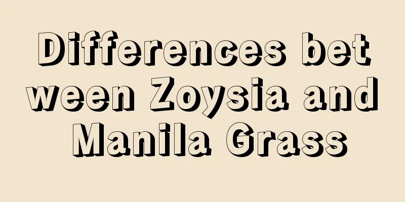 Differences between Zoysia and Manila Grass