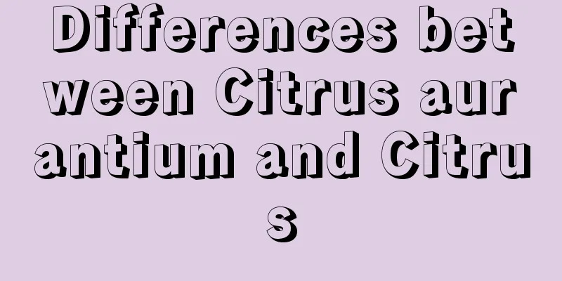 Differences between Citrus aurantium and Citrus