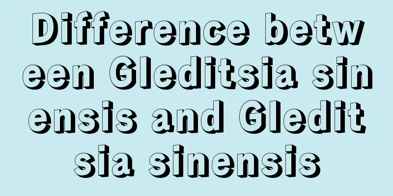 Difference between Gleditsia sinensis and Gleditsia sinensis