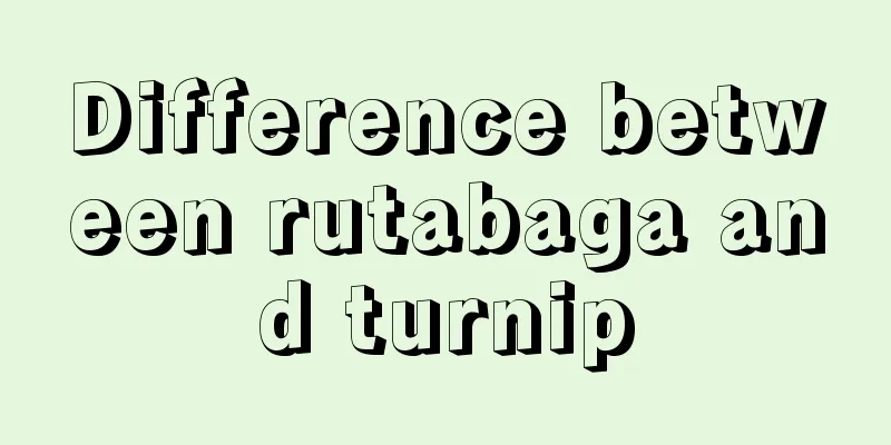 Difference between rutabaga and turnip