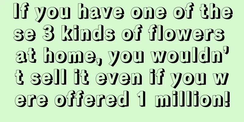 If you have one of these 3 kinds of flowers at home, you wouldn’t sell it even if you were offered 1 million!