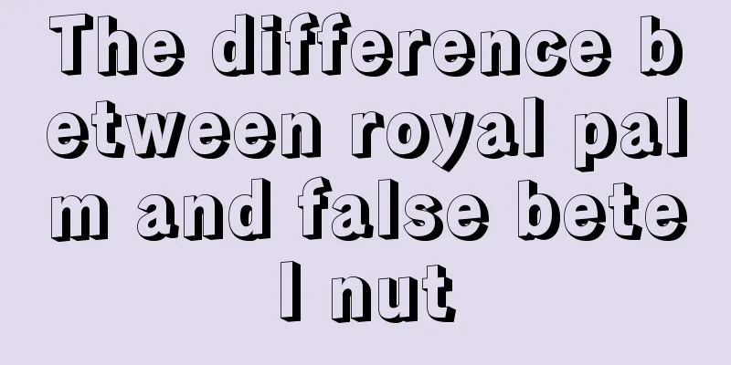 The difference between royal palm and false betel nut