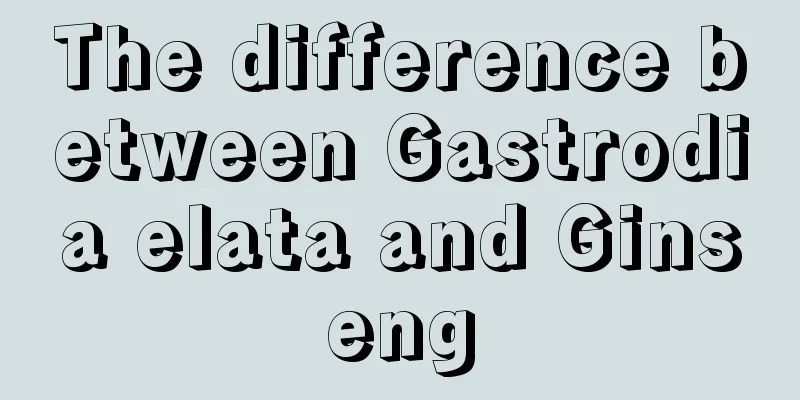 The difference between Gastrodia elata and Ginseng