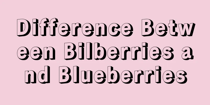 Difference Between Bilberries and Blueberries