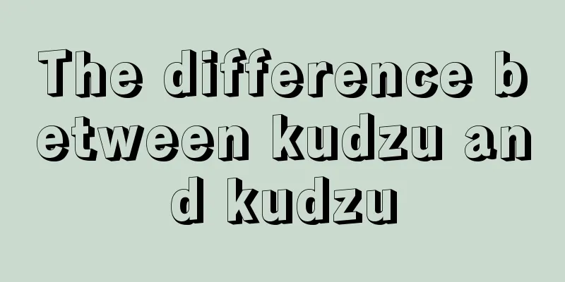 The difference between kudzu and kudzu