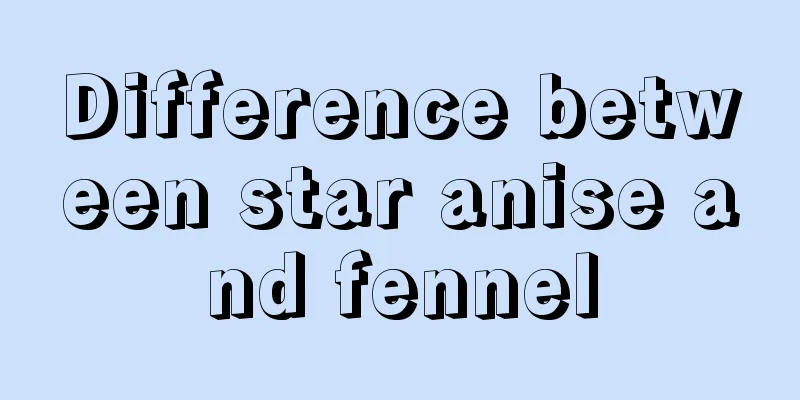 Difference between star anise and fennel