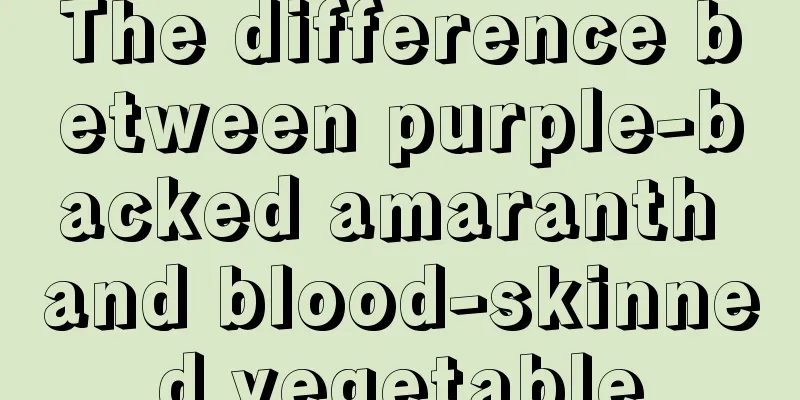 The difference between purple-backed amaranth and blood-skinned vegetable