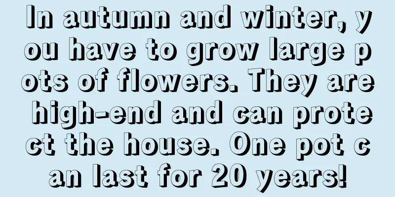 In autumn and winter, you have to grow large pots of flowers. They are high-end and can protect the house. One pot can last for 20 years!