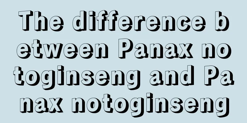 The difference between Panax notoginseng and Panax notoginseng