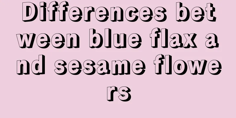 Differences between blue flax and sesame flowers