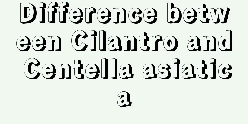 Difference between Cilantro and Centella asiatica