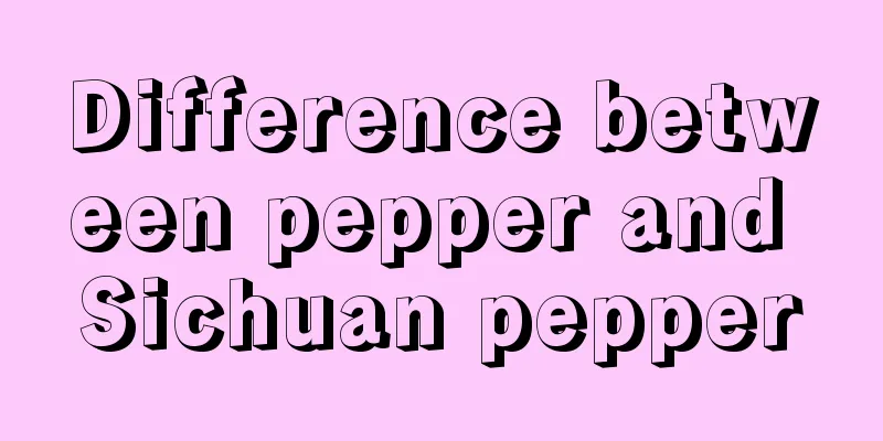 Difference between pepper and Sichuan pepper