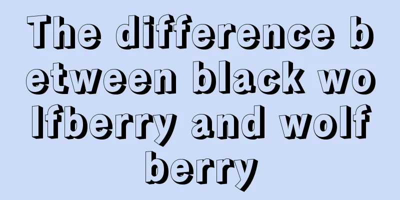 The difference between black wolfberry and wolfberry