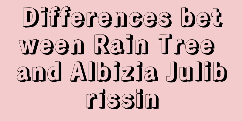 Differences between Rain Tree and Albizia Julibrissin