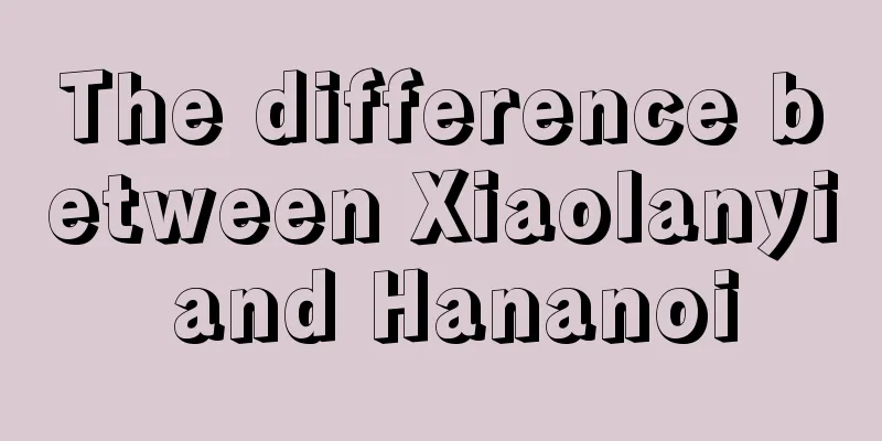 The difference between Xiaolanyi and Hananoi