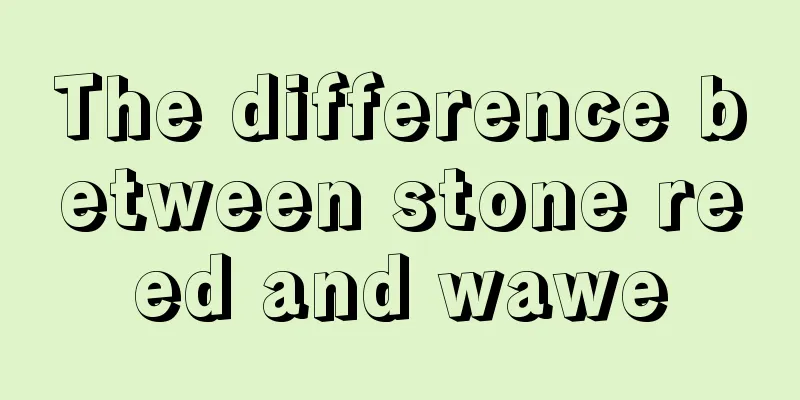 The difference between stone reed and wawe