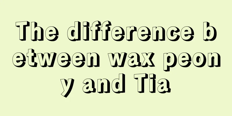 The difference between wax peony and Tia