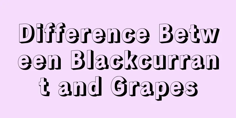 Difference Between Blackcurrant and Grapes