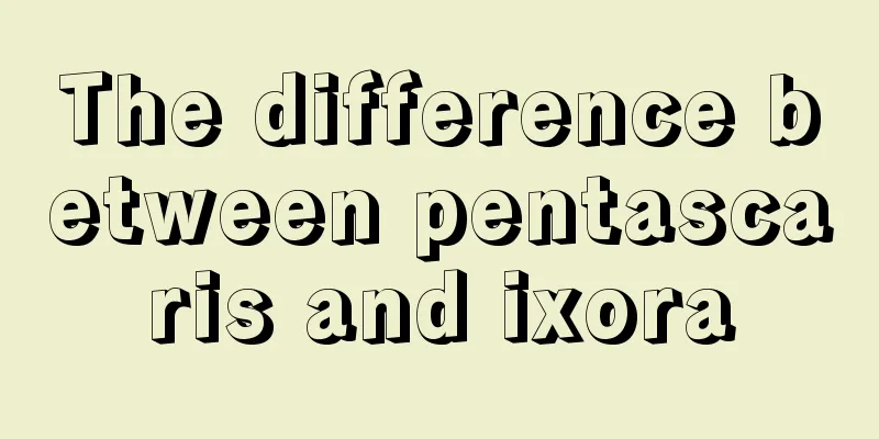 The difference between pentascaris and ixora