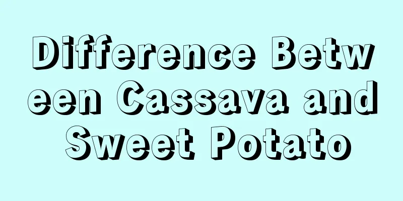 Difference Between Cassava and Sweet Potato