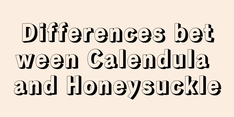 Differences between Calendula and Honeysuckle