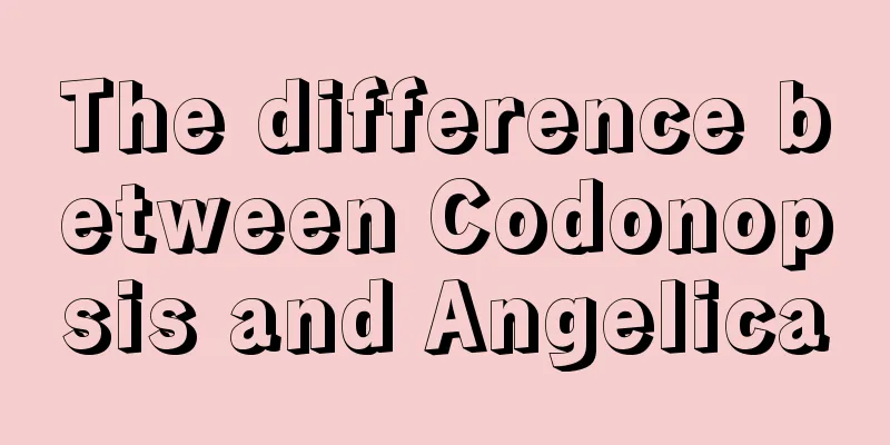 The difference between Codonopsis and Angelica