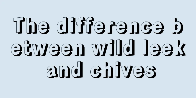 The difference between wild leek and chives