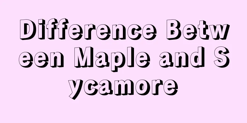 Difference Between Maple and Sycamore