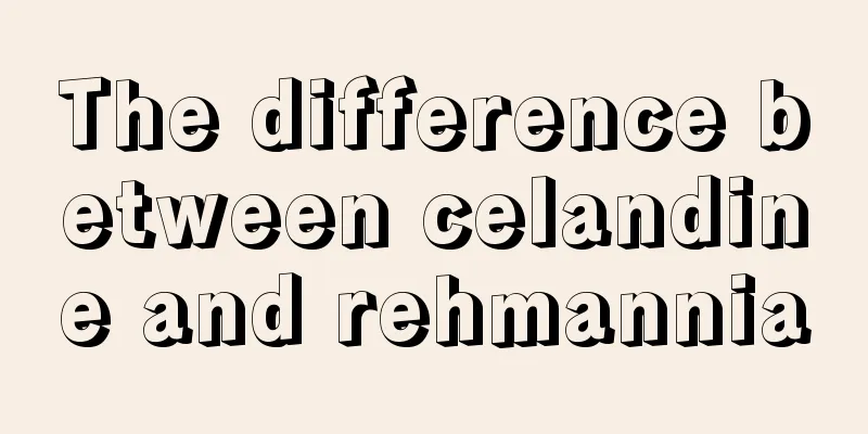 The difference between celandine and rehmannia