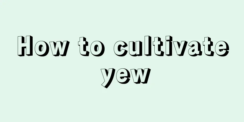 How to cultivate yew