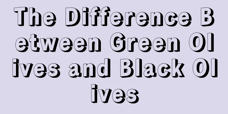 The Difference Between Green Olives and Black Olives