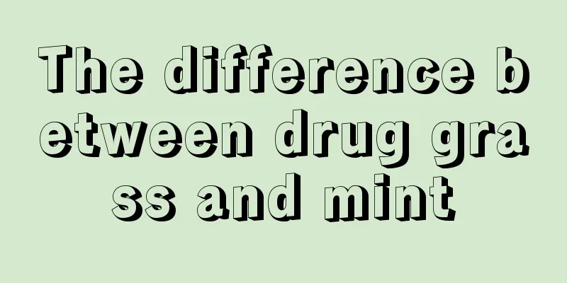 The difference between drug grass and mint