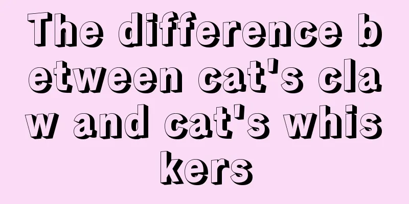 The difference between cat's claw and cat's whiskers