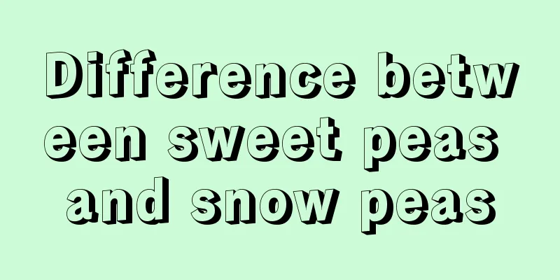 Difference between sweet peas and snow peas