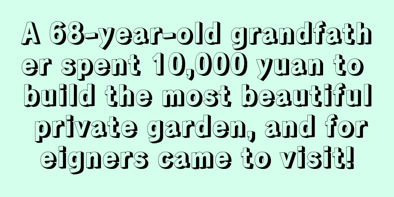 A 68-year-old grandfather spent 10,000 yuan to build the most beautiful private garden, and foreigners came to visit!