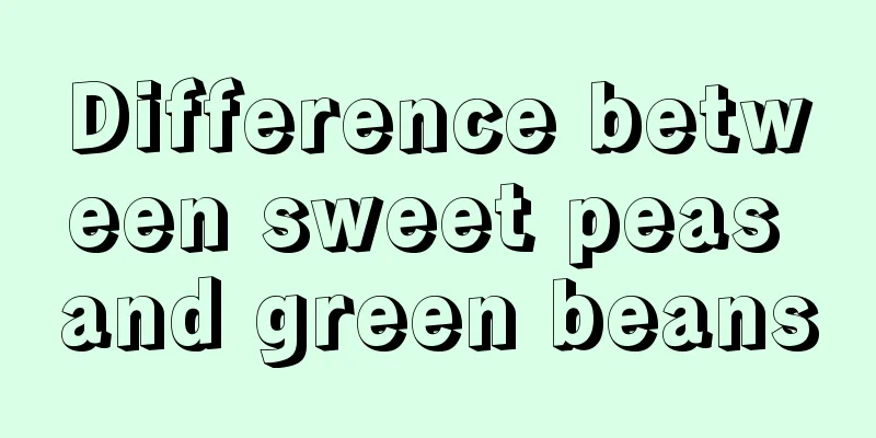 Difference between sweet peas and green beans