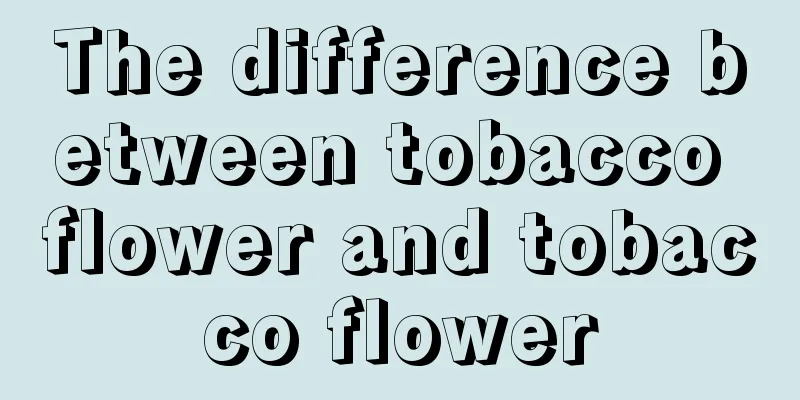 The difference between tobacco flower and tobacco flower