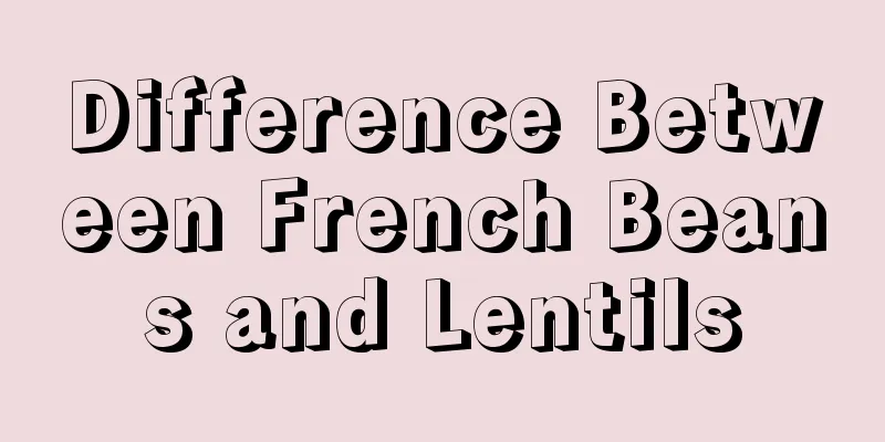 Difference Between French Beans and Lentils