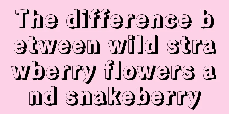 The difference between wild strawberry flowers and snakeberry